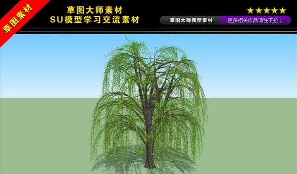 3D柳树SU模型