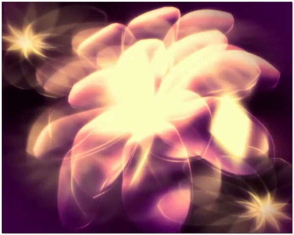 紫色花瓣发光视频素材