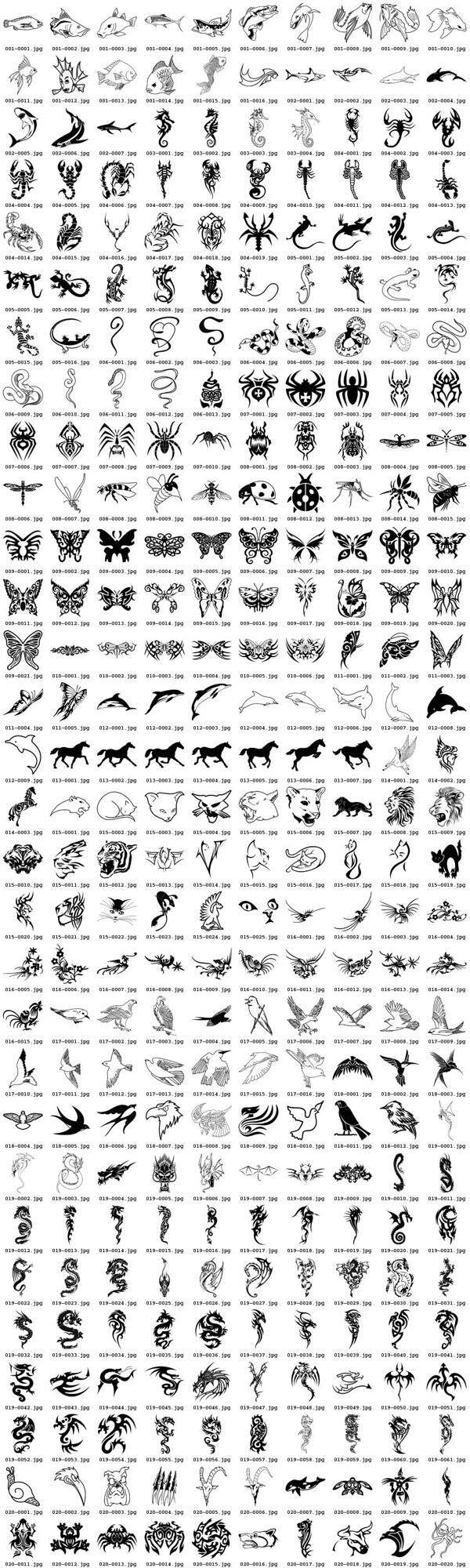 300种型号的各种各样的动物图腾矢量素材