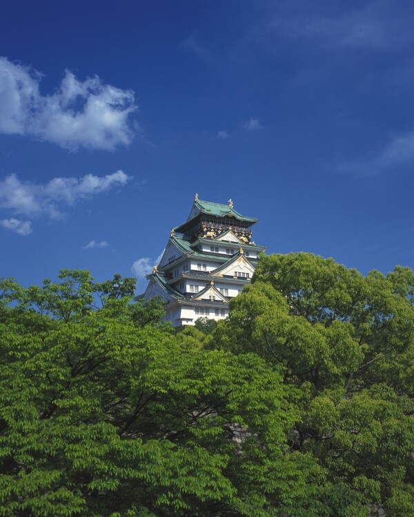 日本神社建筑图片