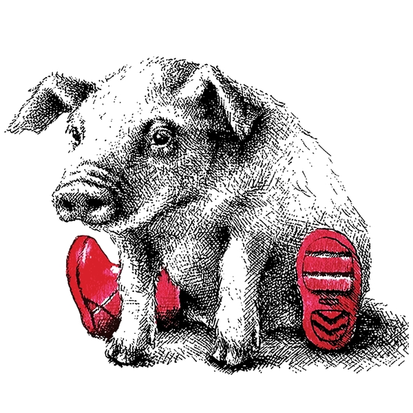 素描猪