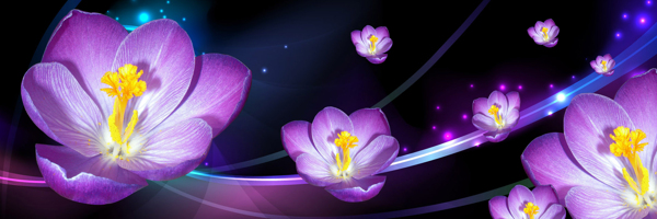 黑夜闪耀紫色花朵装饰画