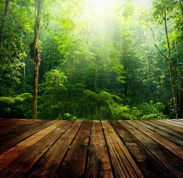 木纹桌面森林背景海报素材图片