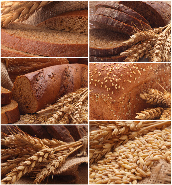 小麦食物拼图图片