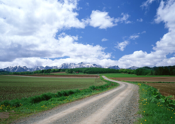 蓝天白云下的道路自然风景