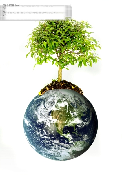 地球上茁壮成长的树