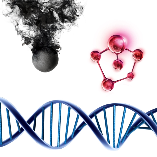 分子结构DNA结构图