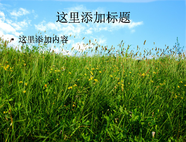 蓝天白云草从草地高清PPT模板范文8风景PPT模板范文