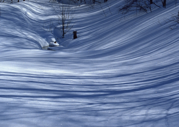 冬天雪景