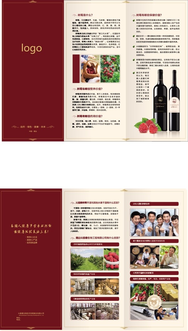 树莓酒折页图片