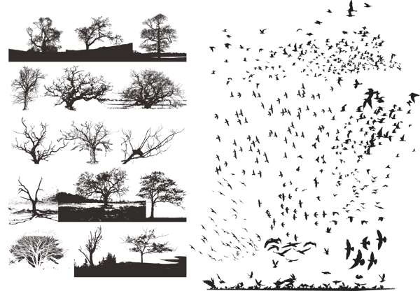 矢量树和飞鸟