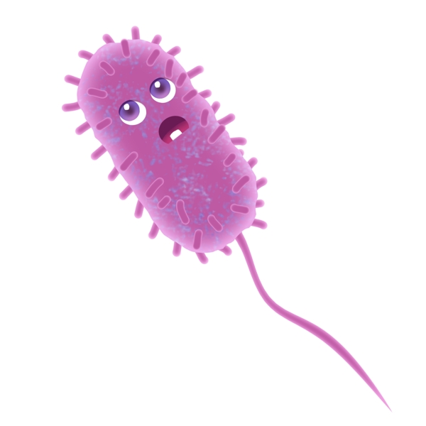 紫色长尾病毒细菌