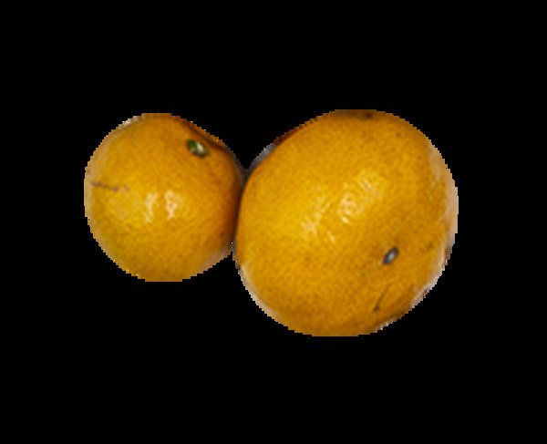 两个新鲜橘子