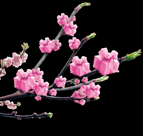 创意粉色梅花树枝礼盒png元素