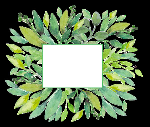 茂密树叶边框透明装饰素材