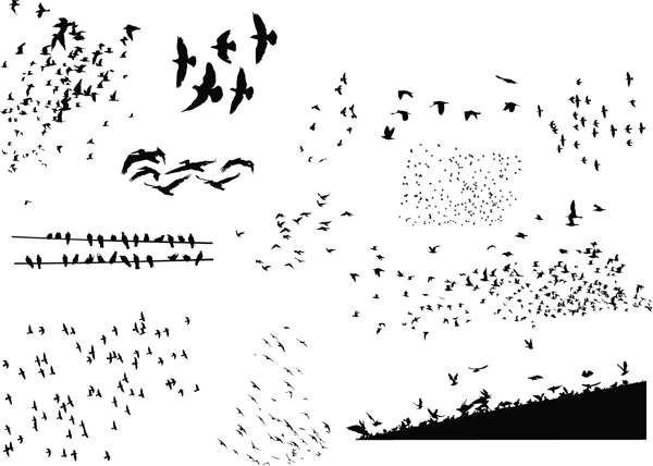 迁徙的鸟类剪影矢量素材