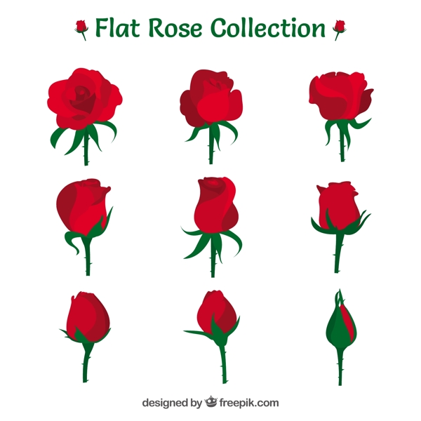 九种红玫瑰平面设计图标