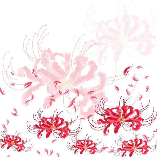 手绘水彩彼岸花花朵漂浮元素
