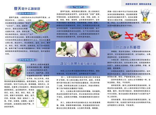 科学饮食三折页内页图片