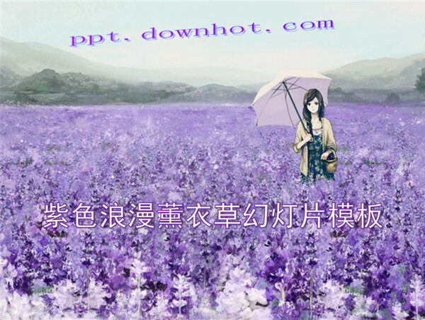 唯美爱情浪漫薰衣草ppt模板