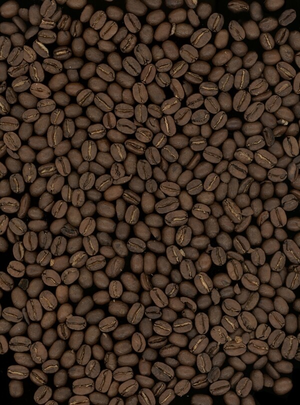 咖啡豆背景精品图片素材