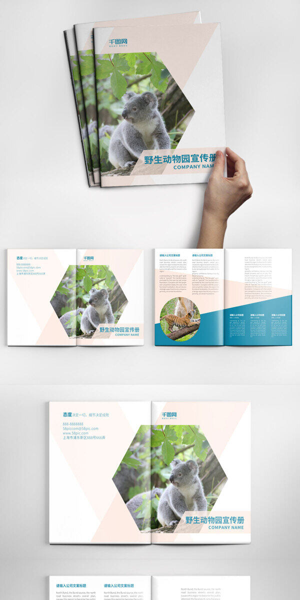 创意动物园宣传画册设计PSD模板