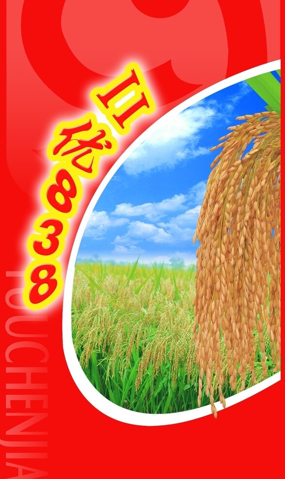 II优838水稻包装图片