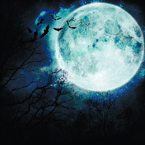 夜晚的月亮与蝙蝠