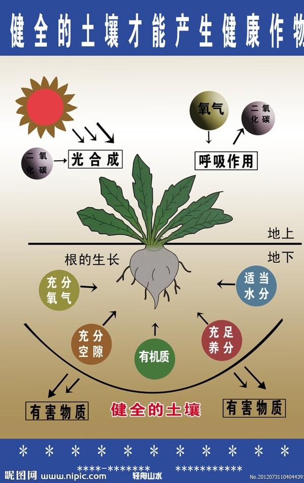 健全的土壤图片