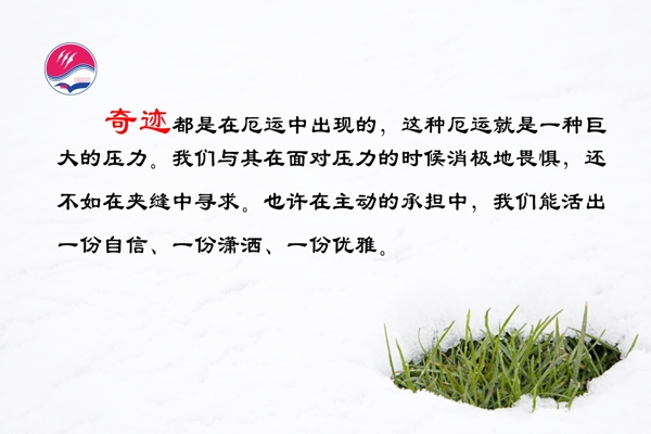 雪地中的小草图片