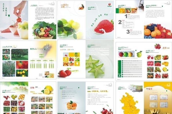 水果画册设计方案图片