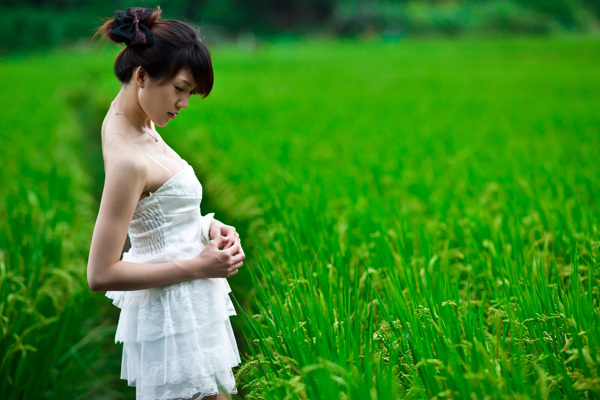 穿白色婚纱的美女站在稻田旁图片
