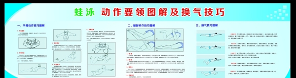 蛙泳动作图解图片