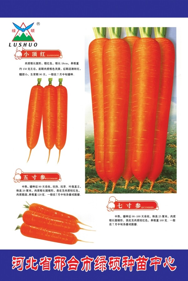 萝卜种子包装袋图片