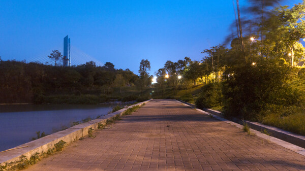 河源桥北公园夜景