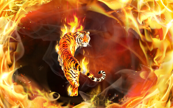 燃烧的老虎图片