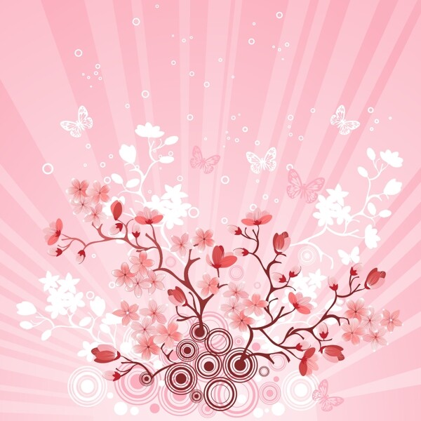 浪漫的樱花