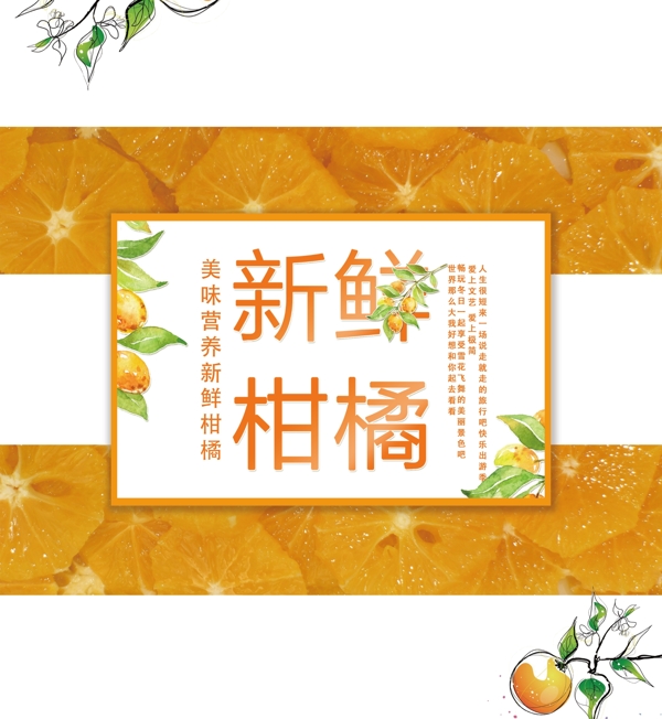 黄色简约创意柑橘包装盒设计模板