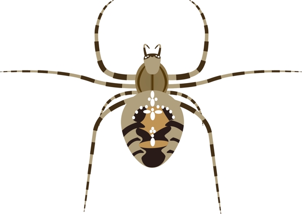 矢量蜘蛛插画