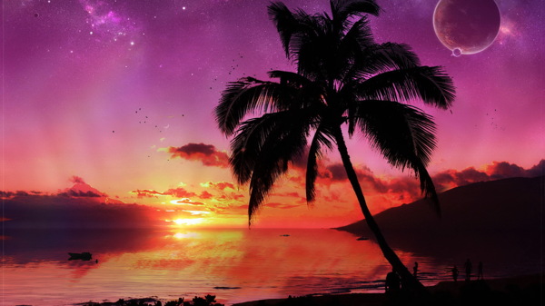 黄昏海边椰子树风景图片