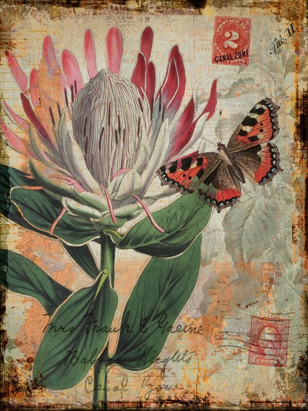 蝴蝶鲜花油画图片