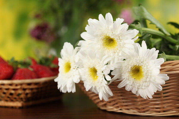 白色菊花与草莓图片