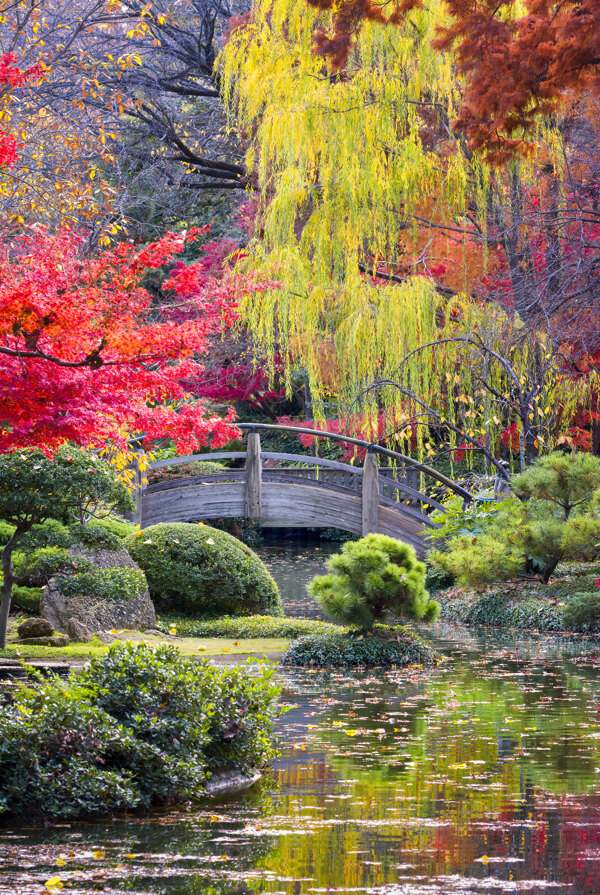 美丽拱桥风景