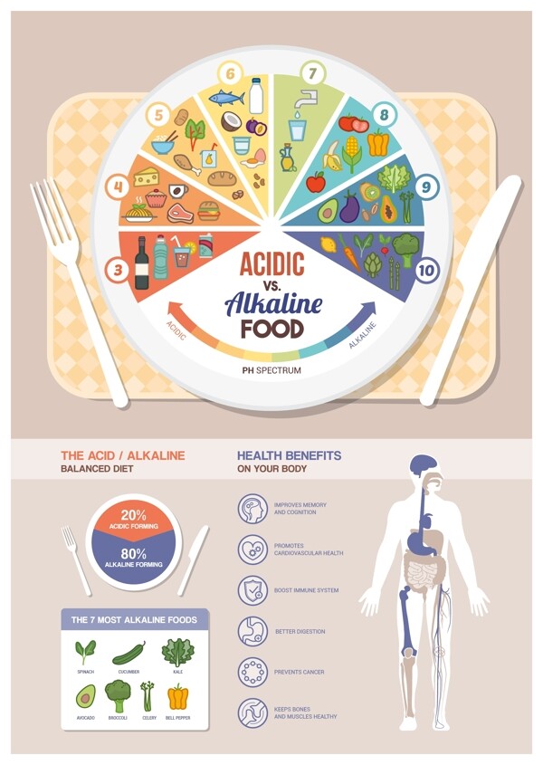 健康饮食分析图表图片