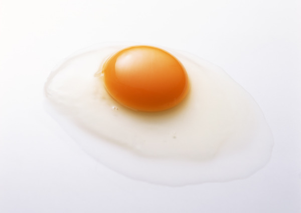 蛋黄与蛋清图片