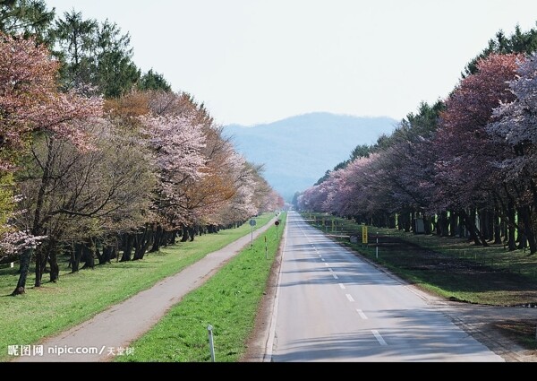 公路图片