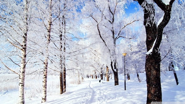 风景雪景图片