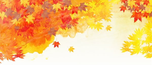 秋天枫叶背景设计