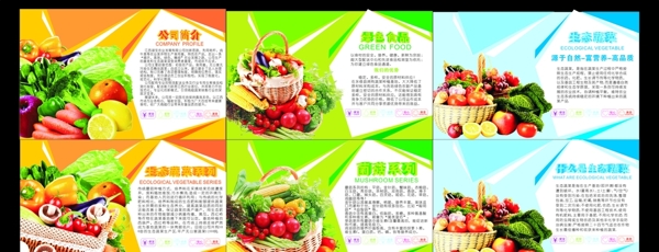 生态蔬菜公司简介水果