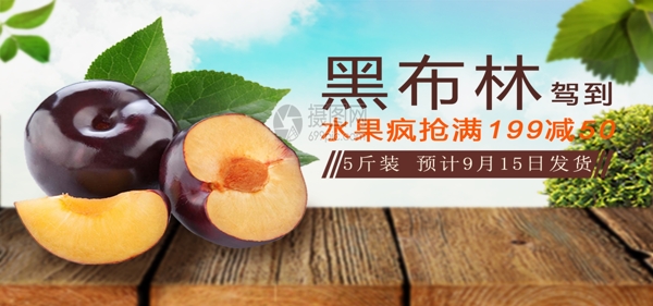 新鲜水果黑布林淘宝banner